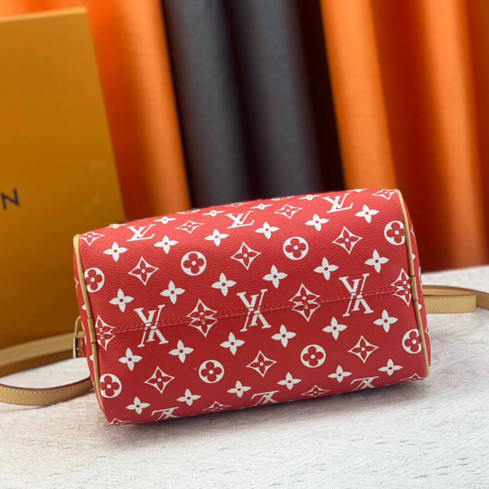 LV Speedy P9 Bandouliere 25